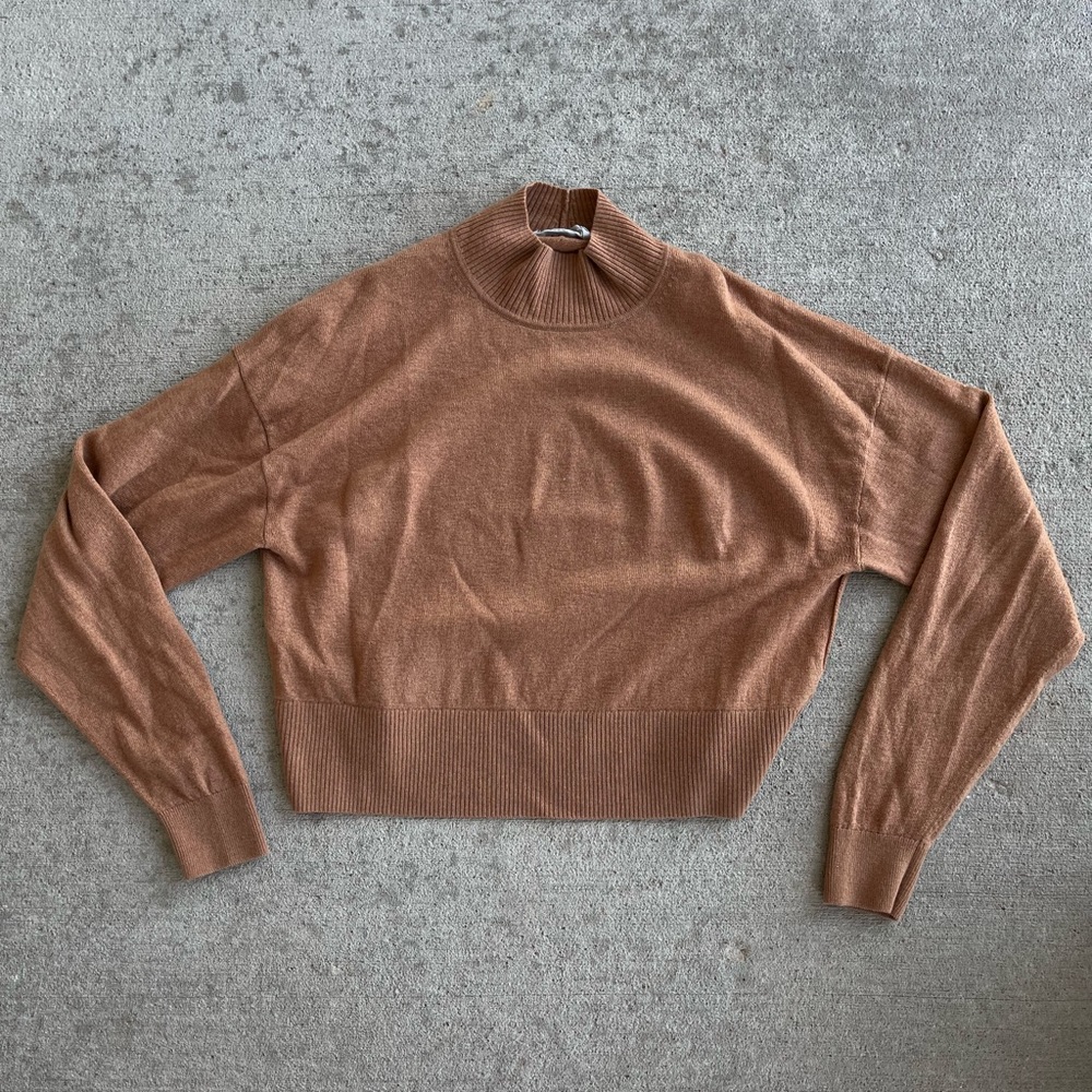 Everlane the luxe merino wool yak turtleneck sweater